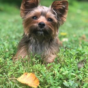 Meet your Posher, Debra